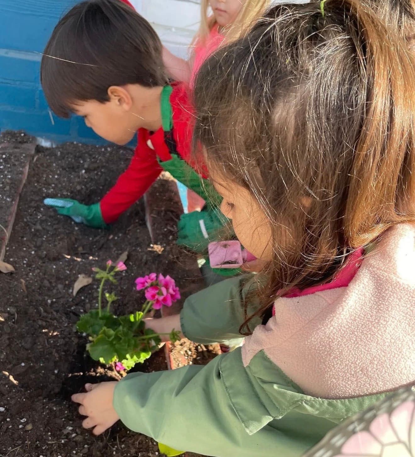 Kindergarten Program